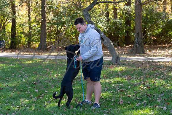 2024-10-26 Dipple Family and Sams Senior pics__JAE3070
