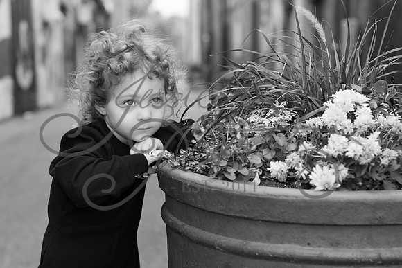 2025-11-08 Alyson Bollinger at Downtown Parkville_DSC_0731