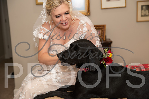 2024-09-14 Cait and Leslee Wedding__JAE8171