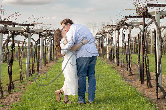 2023-04-21 Ross Proposal_DSC_4714