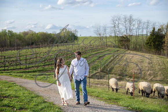2023-04-21 Ross Proposal_DSC_4784
