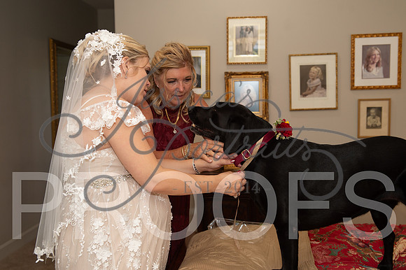 2024-09-14 Cait and Leslee Wedding__JAE8156