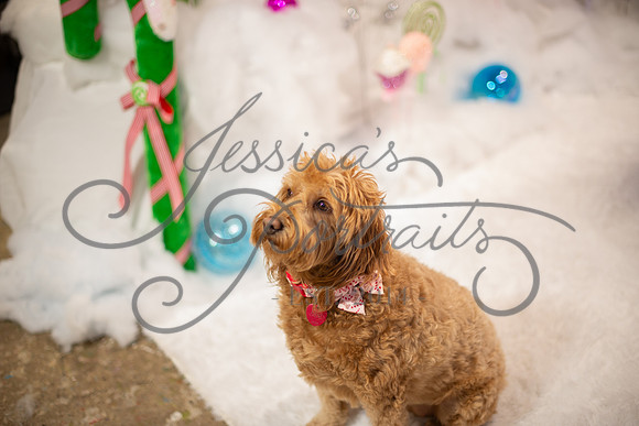 2024-11-23 Casey Britt Candy Wonderland_DSC_8768