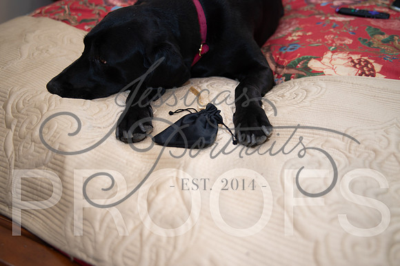 2024-09-14 Cait and Leslee Wedding__JAE7965