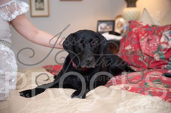 2024-09-14 Cait and Leslee Wedding__JAE7932
