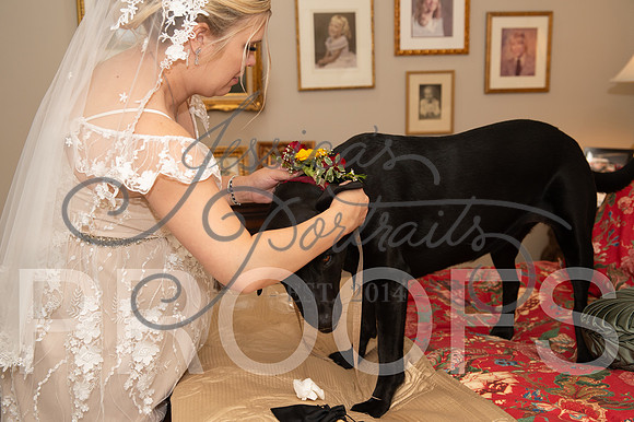2024-09-14 Cait and Leslee Wedding__JAE8146