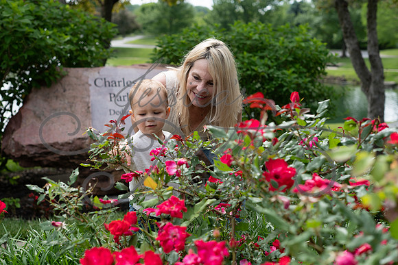 2025-05-23 Wendy and Julie with Baby Max Garney park_Z63_5739