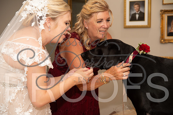 2024-09-14 Cait and Leslee Wedding__JAE8163