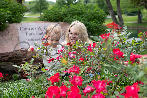 2025-05-23 Wendy and Julie with Baby Max Garney park_Z63_5744