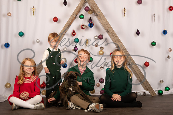 2023-11-19 Kathleen Schnorf X-Mas Mini Shoot_JAE_8049