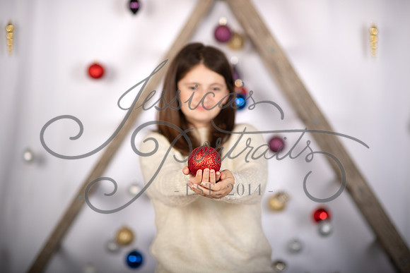 2023-11-19 Anita Krasniqi X-Mas Mini Shoot_JAE_8118