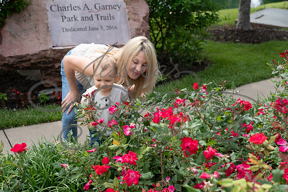 2025-05-23 Wendy and Julie with Baby Max Garney park_Z63_5725