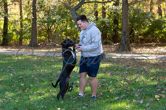 2024-10-26 Dipple Family and Sams Senior pics__JAE3062