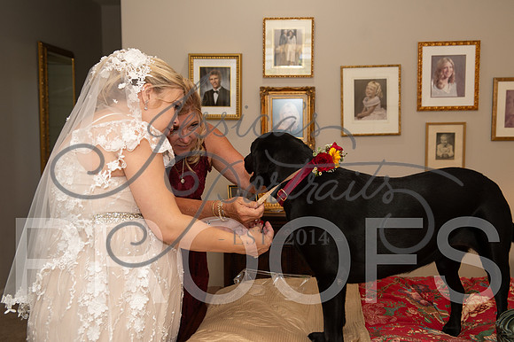 2024-09-14 Cait and Leslee Wedding__JAE8157