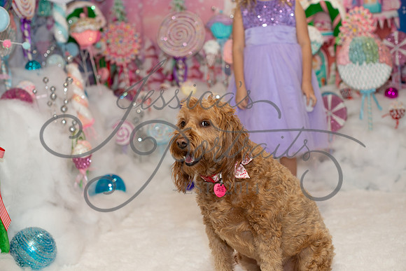 2024-11-23 Casey Britt Candy Wonderland_DSC_8739
